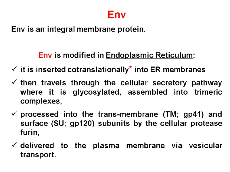 Env Env is an integral membrane protein.   Env is modified in Endoplasmic